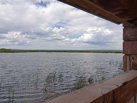 Malheur NWR