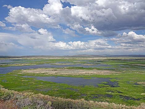 Malheur NWR, Buena Vista Overlook