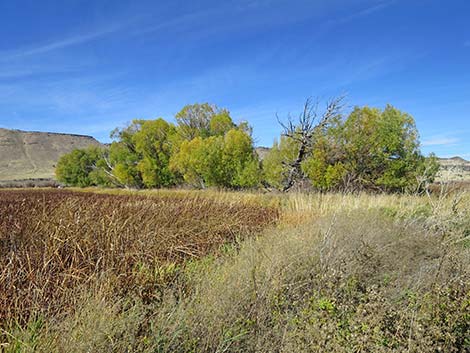 Malheur National Wildlife Refuge