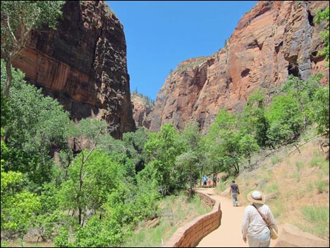 Riverside Trail