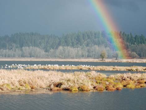 Ridgefield National Wildlife Refuge