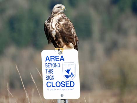 Ridgefield National Wildlife Refuge