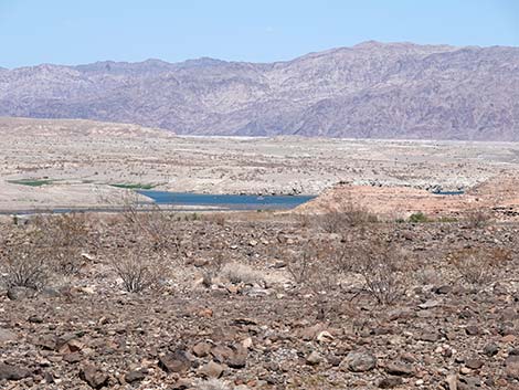 Las Vegas Wash Scenic Overlook