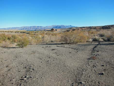 Boat Ramp Lakeshore Trail