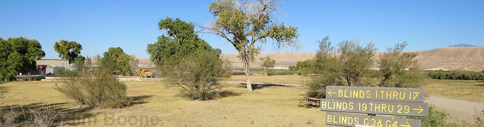 Birding Around the Overton Wildlife Management Area