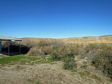 Virgin River Birding