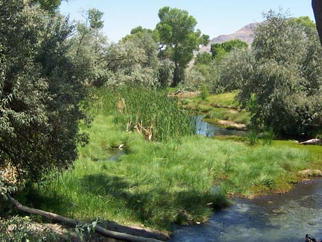 Crystal Spring