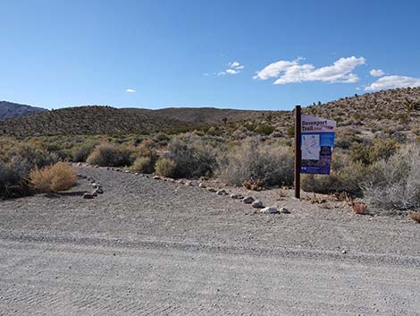 Pahranagat Visitor Center