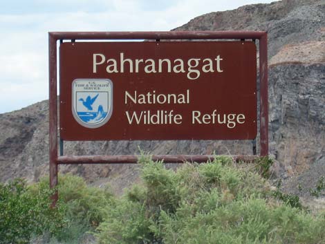 Pahranagat National Wildlife Refuge