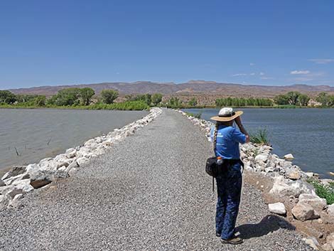 Pahranagat NWR