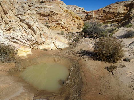 Valley of Fire State Park