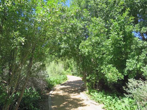 Warm Springs Natural Area