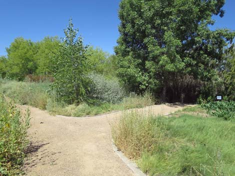 Warm Springs Natural Area