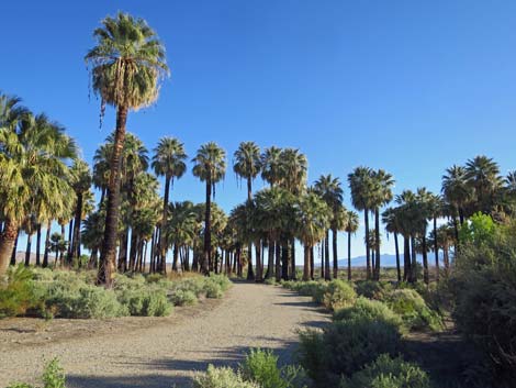 Warm Springs Natural Area