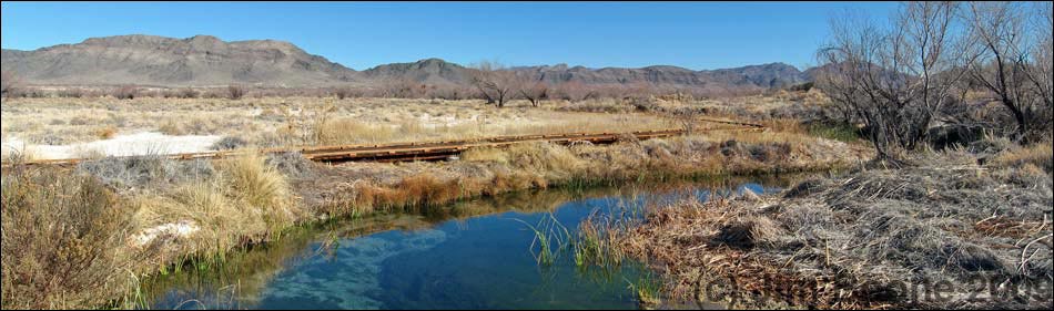 Ash Meadows National Wildlife Refuge, Crystal Spring