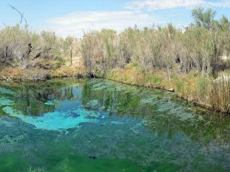 Fairbanks Spring