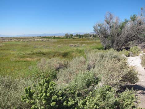 Peterson Reservoir