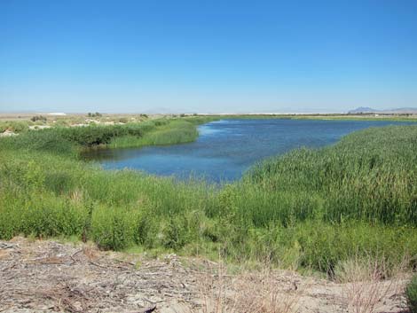 Peterson Reservoir