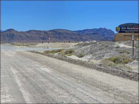 Spring Meadows Road