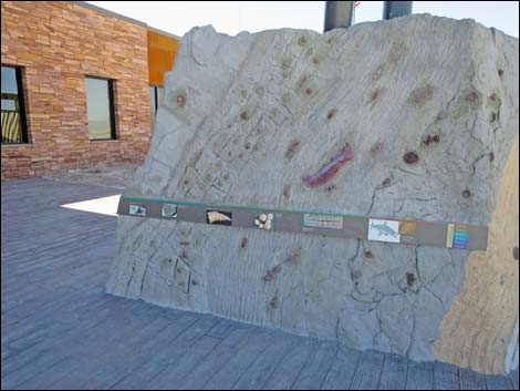 Ash Meadows Visitor Center