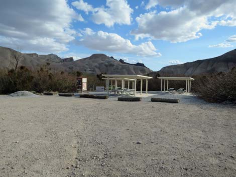 China Ranch Date Farm