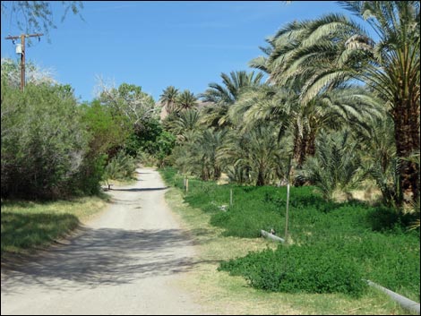 China Ranch