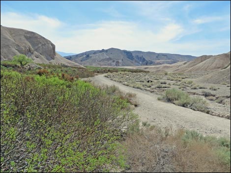 China Ranch