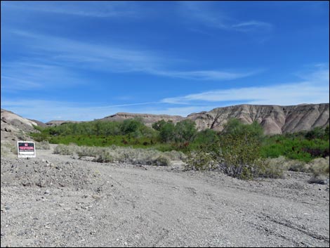 China Ranch