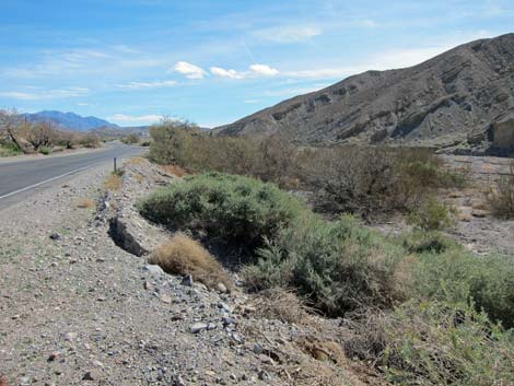 Travertine Springs