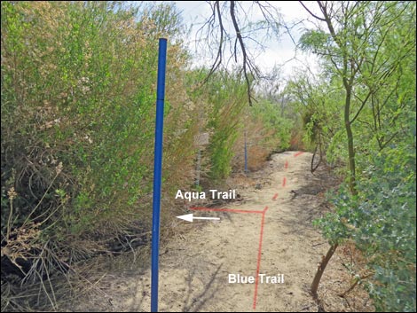 Aqua Birding Trail