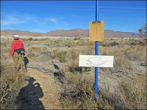 Shoshone Blue Birding Trail