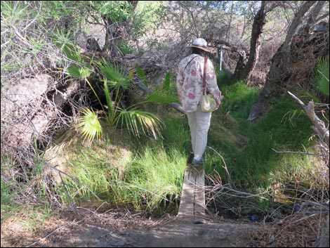 Swimming Pool Trail