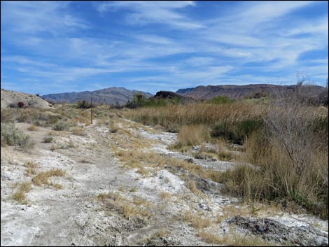 Red Birding Trail