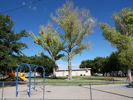 Searchlight City Park