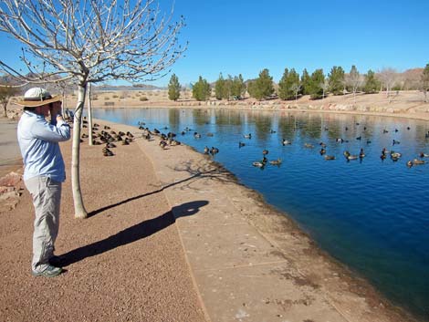 Boulder City Veterans Memorial Park