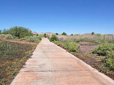 Duck Creek Trails