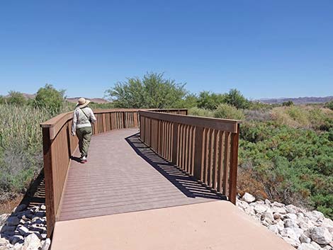 Duck Creek Trails