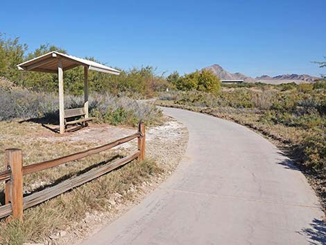 Quail Run Trail