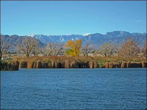 Floyd Lamb Park