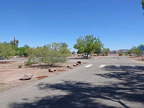 Henderson Bird Viewing Preserve