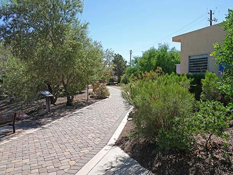 Henderson Bird Viewing Preserve