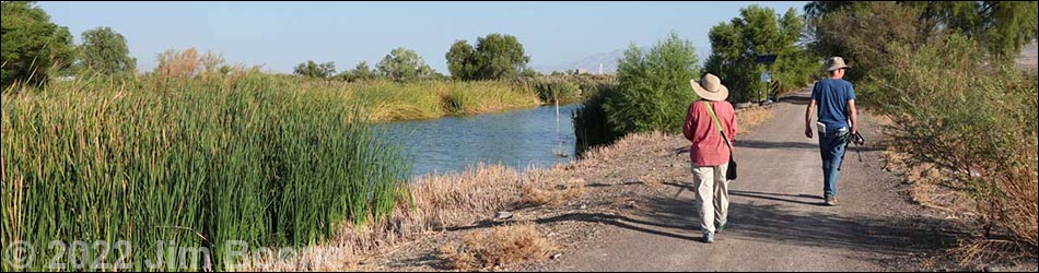 Birding Around the Henderson Bird Viewing Preserve