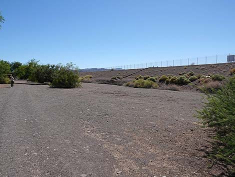 Henderson Bird Viewing Preserve