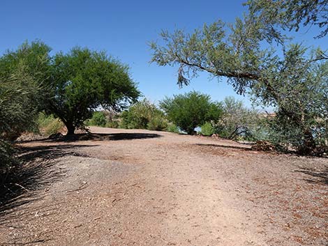 Henderson Bird Viewing Preserve