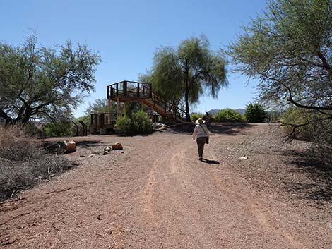 Henderson Bird Viewing Preserve