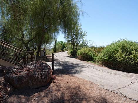 Henderson Bird Viewing Preserve