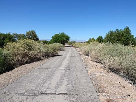 Henderson Bird Viewing Preserve