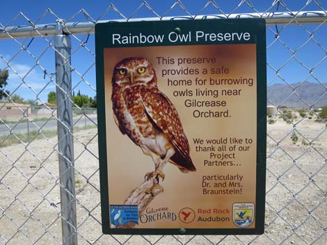 Rainbow Owl Preserve