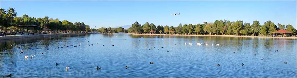 Birding Around Urban Las Vegas