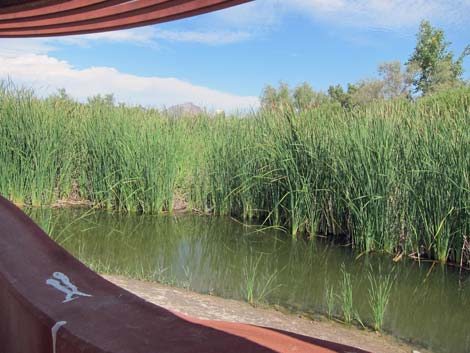 Clark County Wetlands Park